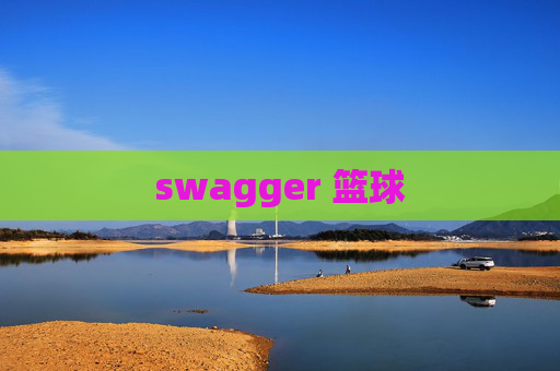 swagger 篮球 swagger 篮球